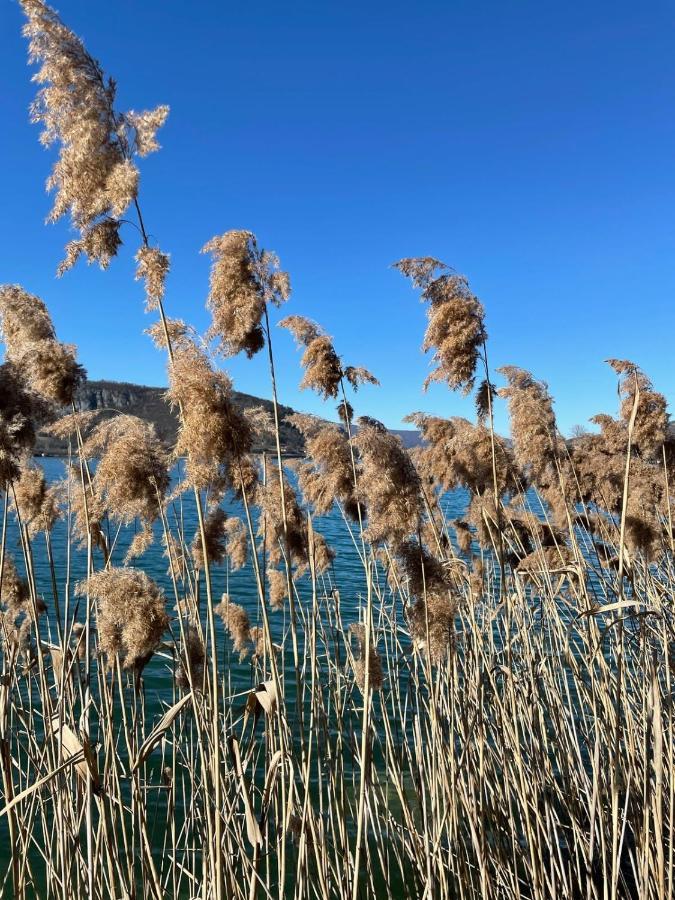 Petit Cocon Au Coeur D'Annecy Lejlighed Eksteriør billede